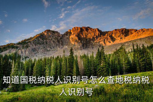 如何上國稅網(wǎng)查納稅人信息，怎樣查詢國稅繳稅信息