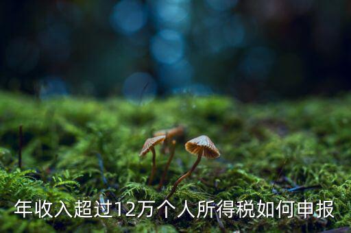 年收入超過12萬(wàn)個(gè)人所得稅如何申報(bào)