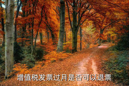 發(fā)票查驗(yàn)后如何退票，已經(jīng)驗(yàn)證的發(fā)票可以退票嗎