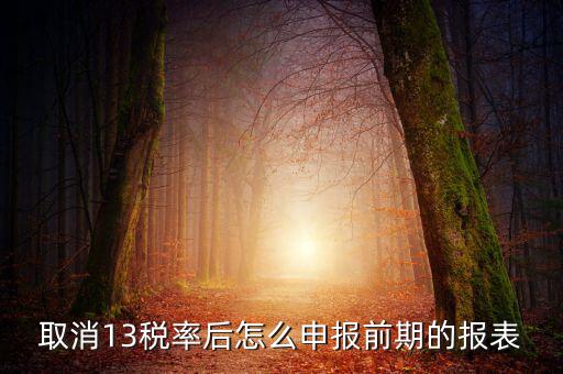 取消13稅率申報表如何填，13的稅率沒了納稅申報以后怎么辦