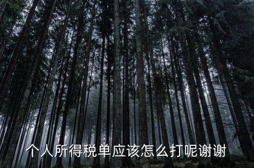 如何打印個人所得稅清單，請問如何打印個人個人所得稅繳款單據