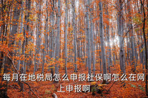 每月在地稅局怎么申報社保啊怎么在網上申報啊