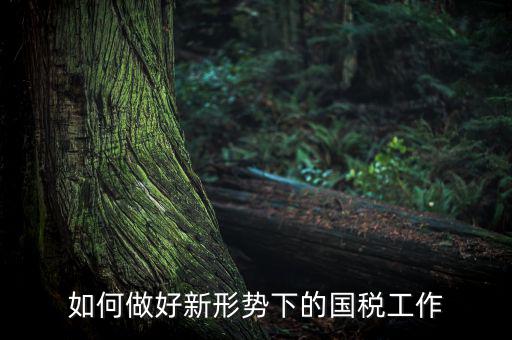 如何貫徹國(guó)稅工作會(huì)議上的講話，如何貫徹落實(shí)國(guó)稅系統(tǒng)化政府采購(gòu)工作規(guī)范
