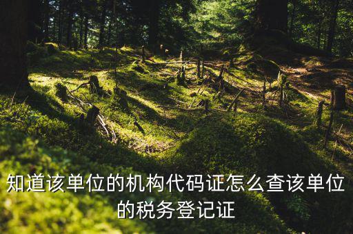如何查企業(yè)稅務(wù)登記證號，公司的稅務(wù)登記證號怎么查詢