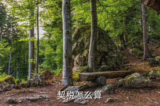 企業(yè)合并契稅如何計算，求高手解答如何計算企業(yè)應(yīng)繳納契稅并進(jìn)行契稅的會計處理
