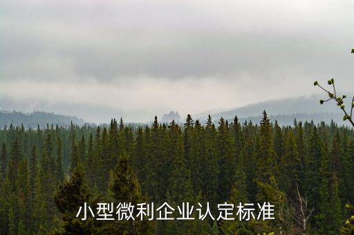 如何確定是小微企業(yè)，小型微利企業(yè)認(rèn)定標(biāo)準(zhǔn)