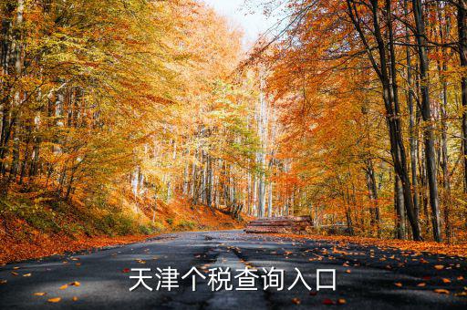 天津個稅如何查詢密碼，天津個稅查詢入口