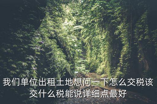 土地出租如何征稅，我們單位出租土地想問一下怎么交稅該交什么稅能說詳細(xì)點(diǎn)最好