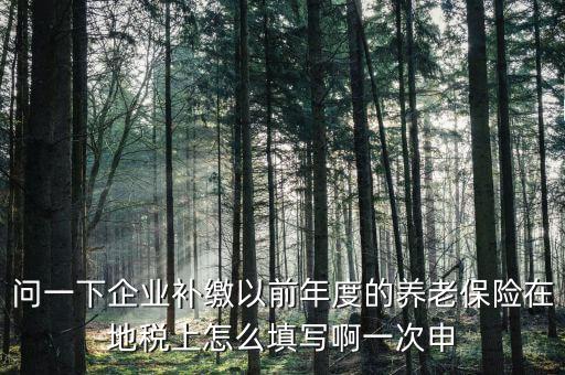 如何補(bǔ)打地稅社會保險(xiǎn)費(fèi)申報(bào)表，在網(wǎng)上交完社保后要怎樣補(bǔ)打社會保險(xiǎn)費(fèi)申報(bào)表