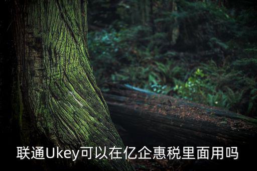 億企惠稅如何填報，聯(lián)通硬證書里面還贈送的其他產(chǎn)品是什么怎么用