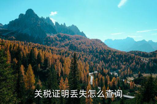 如何查納稅證明，個(gè)人的納稅證明網(wǎng)上能查嗎