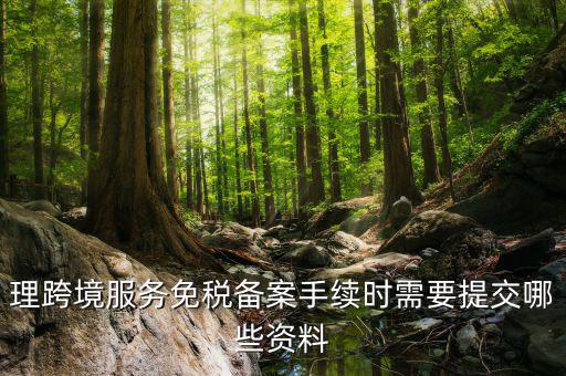 理跨境服務免稅備案手續(xù)時需要提交哪些資料