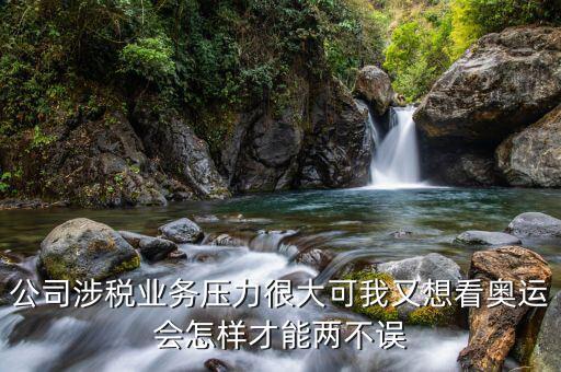 公司涉稅業(yè)務(wù)壓力很大可我又想看奧運(yùn)會怎樣才能兩不誤