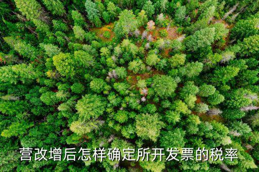 開票時稅率如何確認(rèn)，發(fā)票的稅是怎么算的是不是數(shù)額越大要繳稅的百分比就越大比