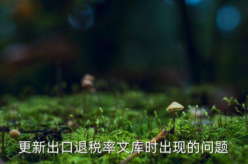 出口退稅文庫如何更新，請(qǐng)問各位出口退稅系統(tǒng)里的代碼庫怎么更新啊怎么老沒反應(yīng)的呢