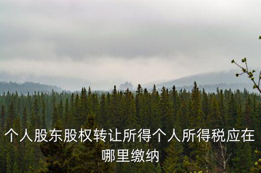個人股東股權轉讓所得個人所得稅應在哪里繳納