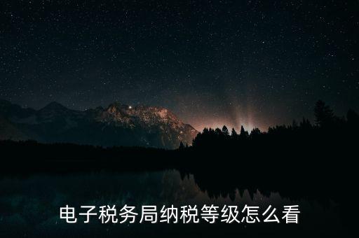 a級納稅人如何查詢，電子稅務(wù)局納稅等級怎么看