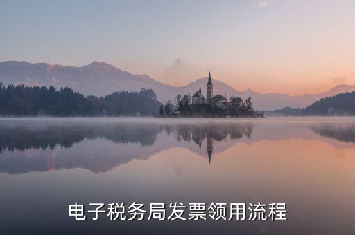 電子稅務局發(fā)票領用流程