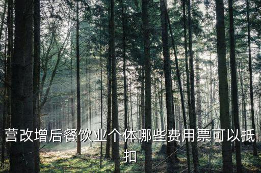 餐飲業(yè)如何抵扣，餐飲業(yè)無法向個人消費者開具增值稅專用發(fā)票那怎么抵扣進(jìn)項稅