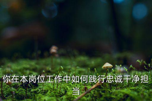 稅務(wù)干部如何講忠誠，如何做對黨忠誠個人干凈敢于的好干部