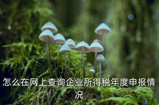 如何查詢企業(yè)個稅申報名單，怎樣查詢公司的所得稅已經(jīng)申報了