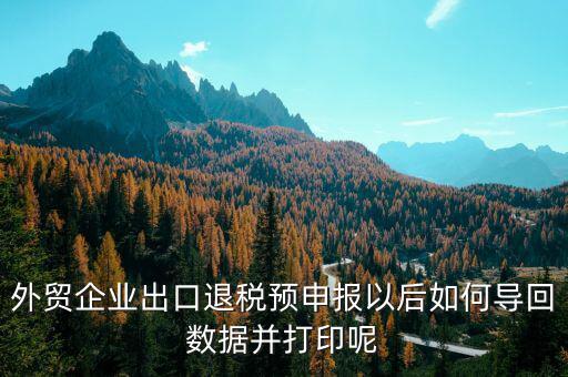 出口退免稅備案如何打印，外貿(mào)企業(yè)出口退稅預申報以后如何導回數(shù)據(jù)并打印呢