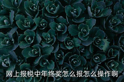 網上報稅中年終獎怎么報怎么操作啊