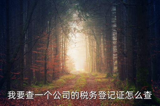 如何查企業(yè)的稅務(wù)登記證號，公司的稅務(wù)登記證號怎么查詢