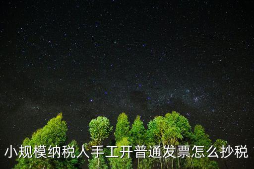 小規(guī)模納稅人開票系統(tǒng)如何抄報(bào)稅，小規(guī)模稅款控盤如何抄報(bào)稅