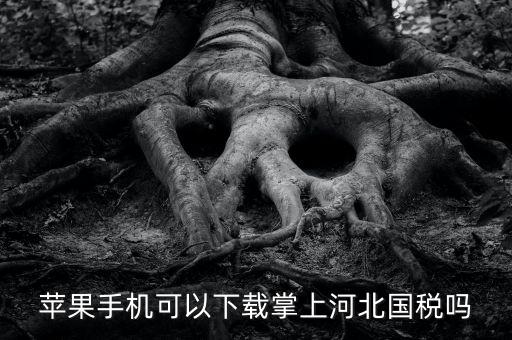 河北掌上國(guó)稅如何注冊(cè)，蘋果手機(jī)可以下載掌上河北國(guó)稅嗎