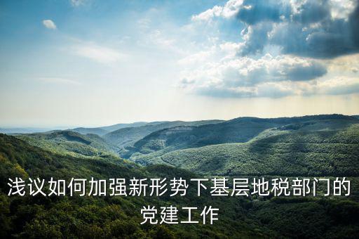 國地稅改革如何做好基層工作，淺議如何加強新形勢下基層地稅部門的黨建工作
