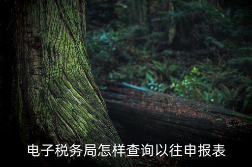 電子稅務(wù)局怎樣查詢以往申報表
