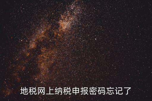 網(wǎng)報(bào)如何復(fù)制密碼，地稅網(wǎng)上納稅申報(bào)密碼忘記了