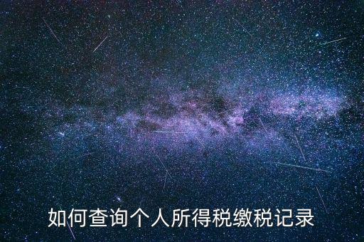 上海地稅局如何查個人所得稅繳稅記錄，上海市工資個稅繳納記錄如何查詢