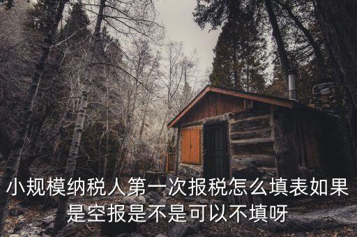 如何填寫首次辦稅補(bǔ)充信息表，稅務(wù)登記補(bǔ)充信息采集表怎么填 誰知道啊
