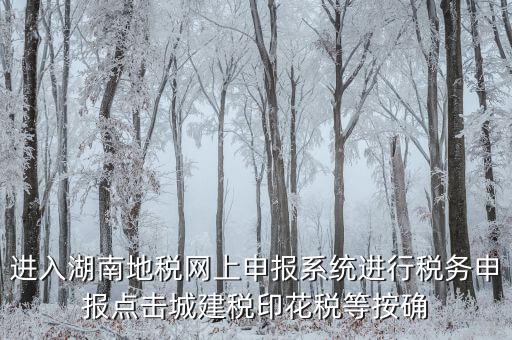 湖南省地稅局個(gè)人如何注冊(cè)，湖南地稅網(wǎng)上申報(bào)系統(tǒng)