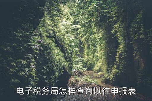 寧波地稅如何查往期申報(bào)信息，怎樣查看地稅網(wǎng)上申報(bào)記錄