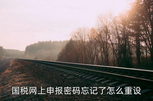 網(wǎng)上稅務(wù)局登錄密碼如何重置，國稅網(wǎng)上申報密碼忘記了怎么重設(shè)