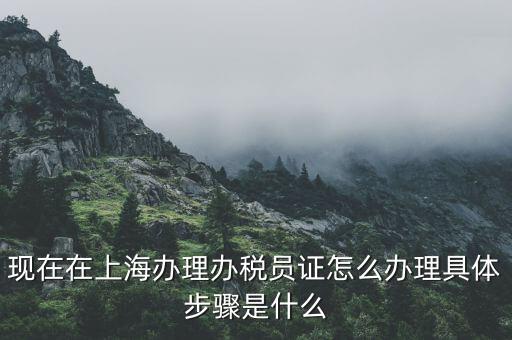 如何成為辦稅員，成為稅務(wù)人員的基本要求是什么