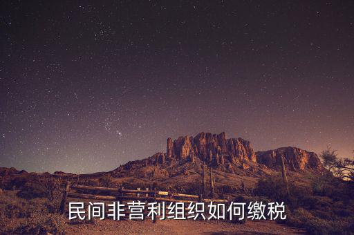 非營利組織如何納稅，民間非營利組織如何繳稅