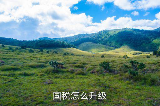國稅系統(tǒng)如何適應(yīng)新時(shí)代，如何做好新形勢下的國稅工作