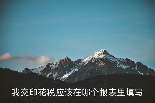 網(wǎng)上印花稅表如何填寫，印花稅申報報表要怎么填啊