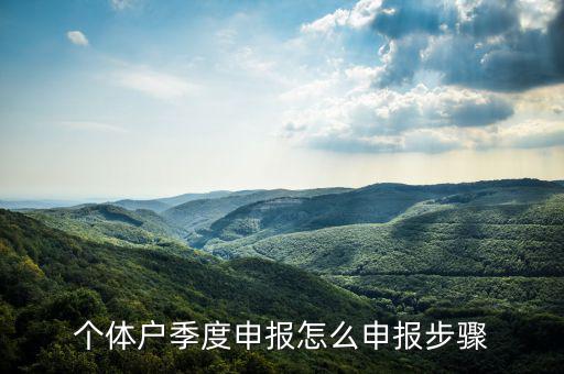 個(gè)體戶如何季度申報(bào)表，個(gè)體戶每個(gè)季度怎樣報(bào)稅