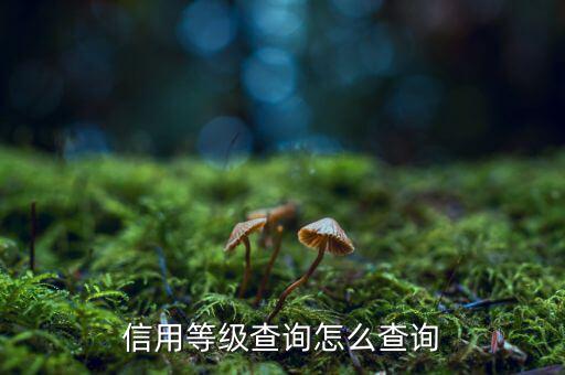 外管局信用等級查詢如何查詢，信用等級查詢怎么查詢