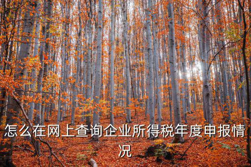 企業(yè)稅務(wù)信息如何查詢系統(tǒng)，通過企業(yè)注冊號和地稅登記證號如何查詢企業(yè)信息