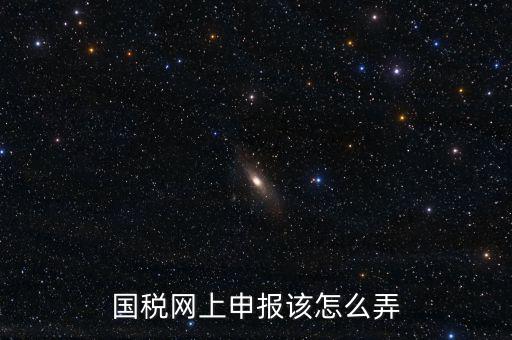 國稅新系統(tǒng)如何申報(bào)，國稅網(wǎng)上申報(bào)該怎么弄