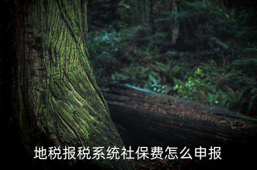 地稅如何申報社保嗎，地稅報稅時社保怎么填