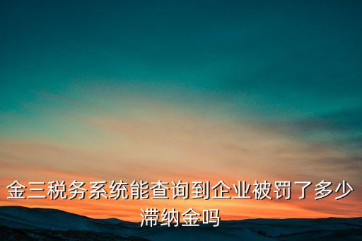 稅務(wù)部門的行政處罰如何查詢，公司的稅務(wù)罰款去哪里查詢急