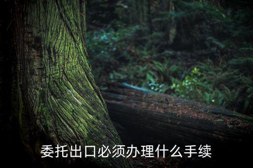 如何開具代理出口貨物證明，代理公司在當(dāng)?shù)亻_具代理出口貨物證明 請(qǐng)問我公司如何