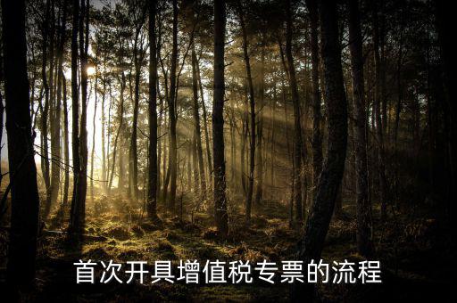 如何申請增值稅專票，怎么申辦專用發(fā)票